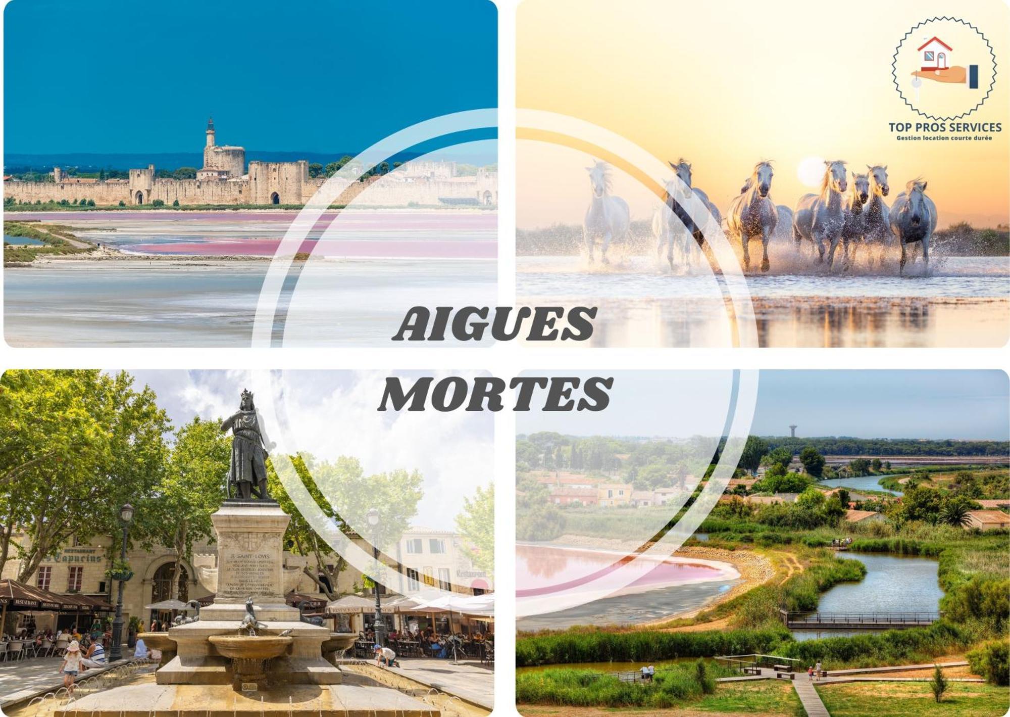 Le Seventie's 3 Terrasse-netflix-wifi-parking-mer-top Pros Servicesconciergerie *