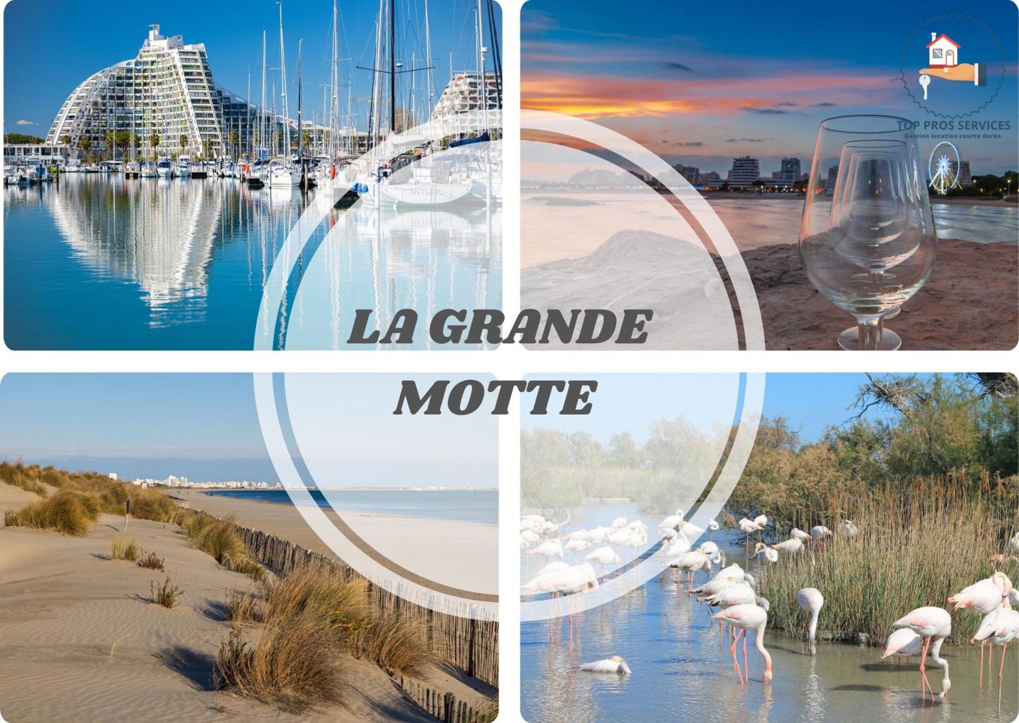 Apartment Le Seventie's 3 Terrasse-netflix-wifi-parking-mer-top Pros Servicesconciergerie *